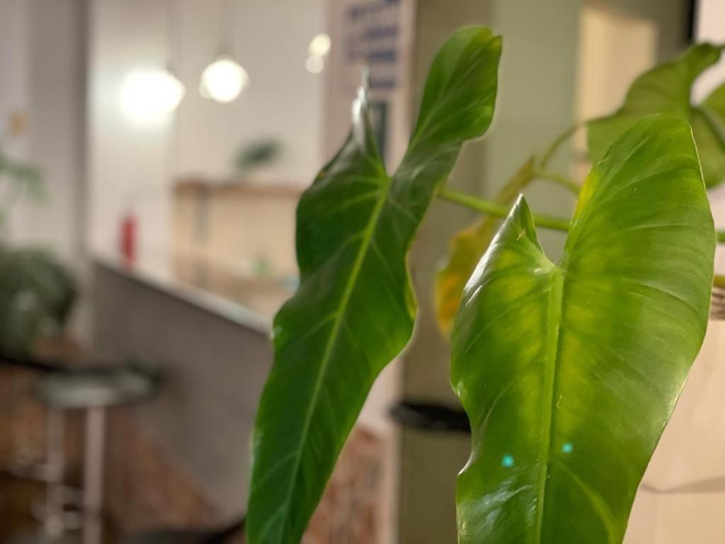 Casahotel Jockey Plaza Mall リマ エクステリア 写真